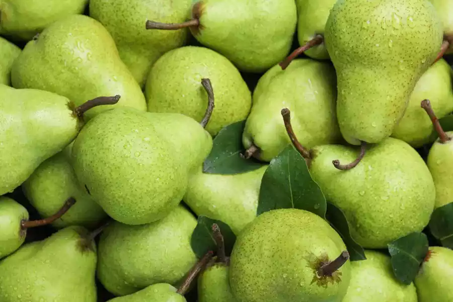 make your own pear shower gel